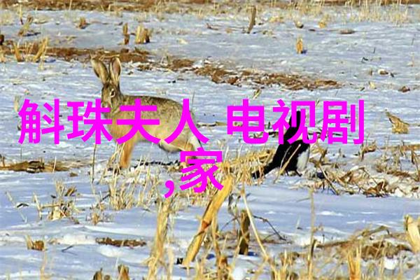 爱情岛论坛亚洲免费路线一 - 探索浪漫揭秘亚洲免费恋旅之道