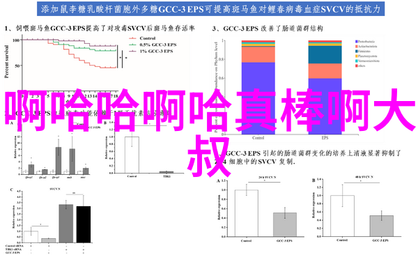 老歌经典500首回忆的旋律与岁月的交响