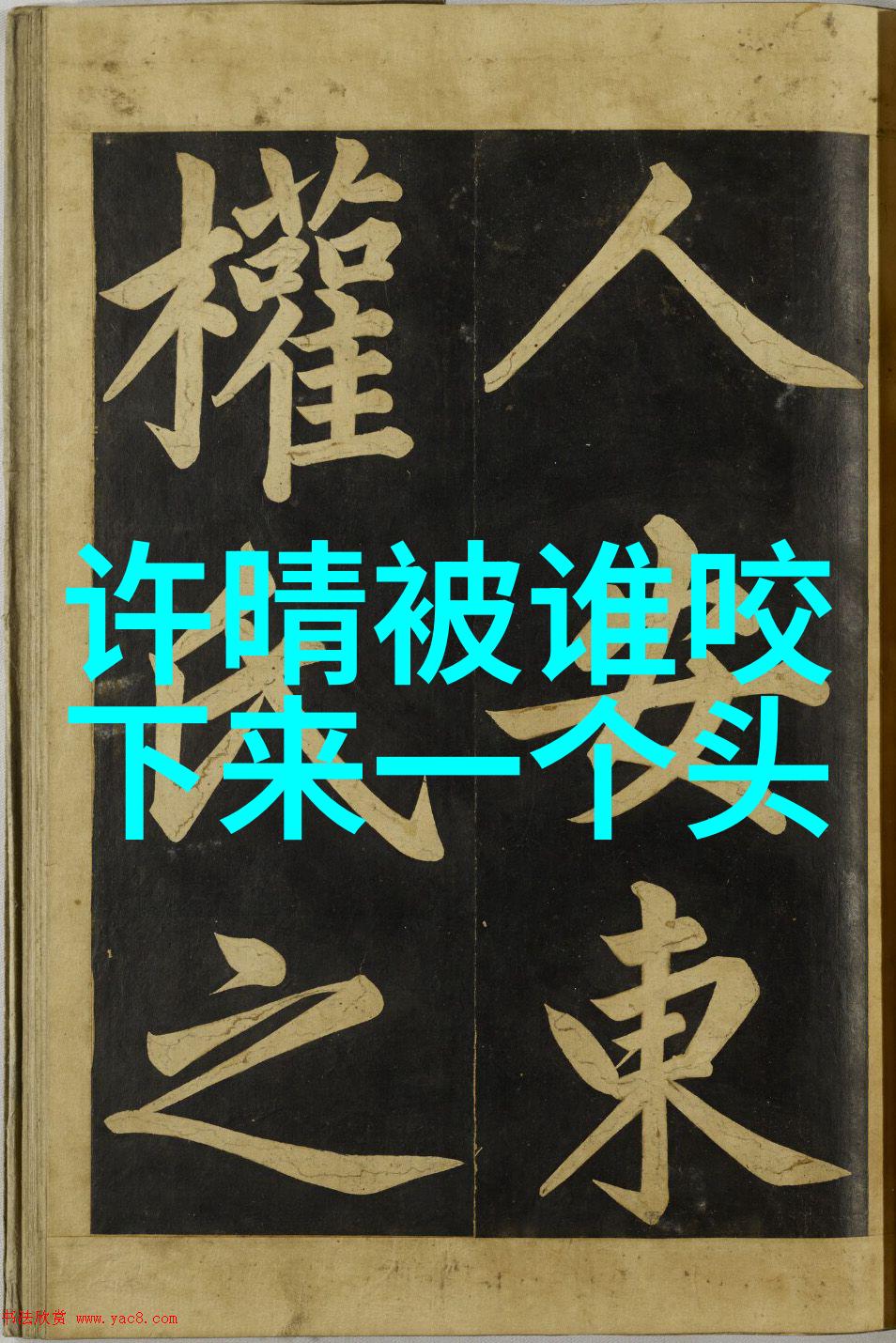 海上钓鱼探秘捕捉梦想的浪花