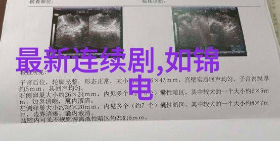 全网十大网红流量巨擘与时尚先锋的双重盛宴