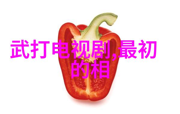 我们的美好生活综艺分享探索与欢乐的无限篇章