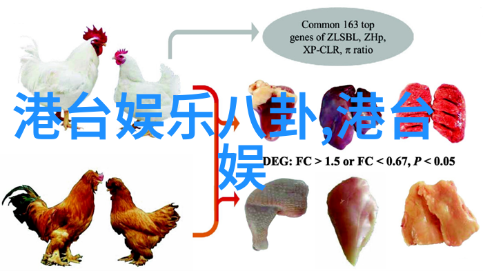 一眼难忘一生难忘探索那些在我们内心深处留下印记的人类创作