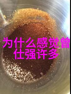 城市之冠雪梨的魅力与活力