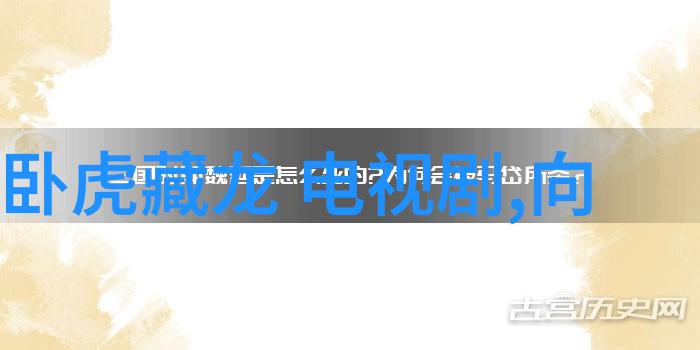 2009电视剧经典回忆家有儿女步步惊心宸汐缘