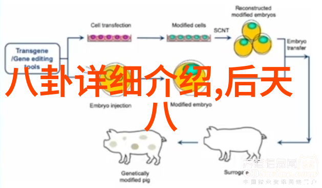 台湾中文娱乐跨海风情探索台湾娱乐界的独特魅力