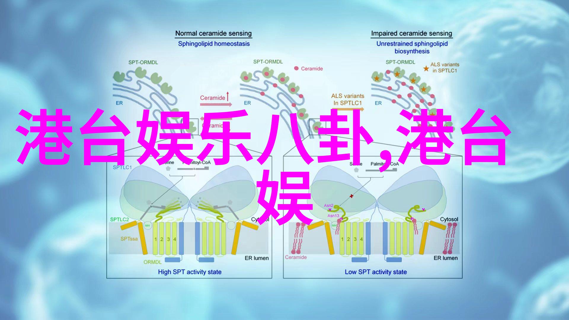 音悦生活免费摇滚的秘密花园