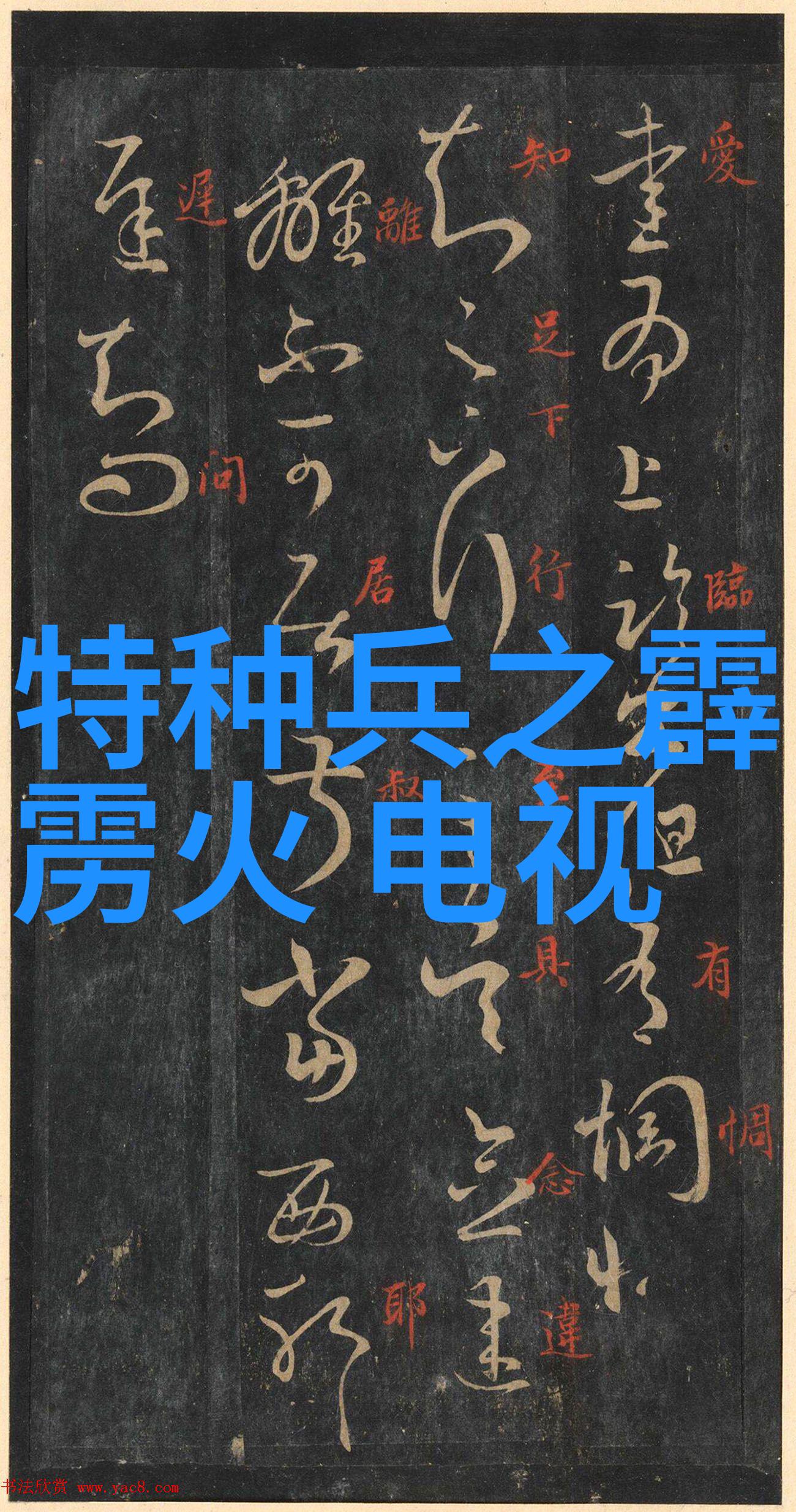 撕心裂肺的绝望揭秘那些令人心痛到欲碎的照片