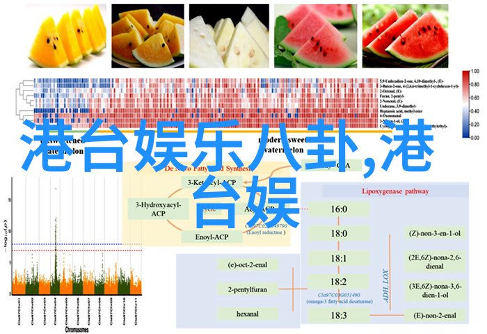 片多多免费观看高清电影我的影视天堂