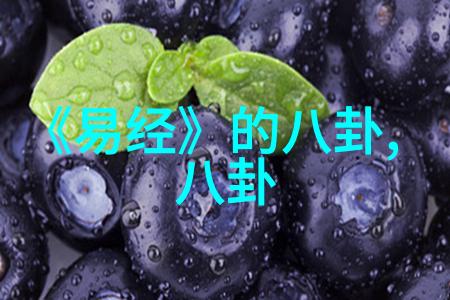 解密脑机接口揭秘BCI标准背后的科技神秘面纱