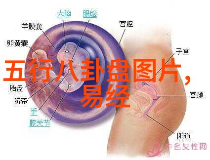 网红大事件直播风波完整版免费观看引爆网络热议