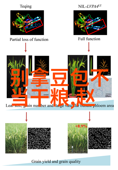 一线主播排名咱们来看看谁在直播圈的排行榜上坐稳了哪个位置