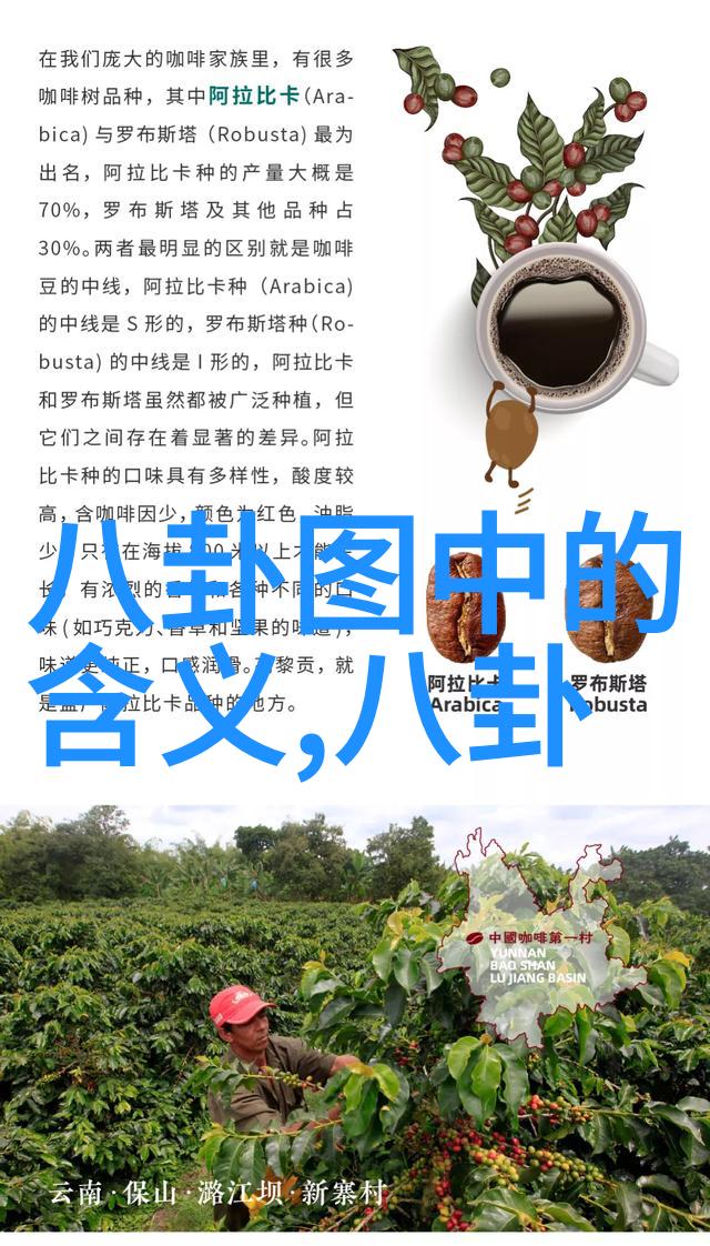 何冰的电视剧角色背后藏着怎样的故事