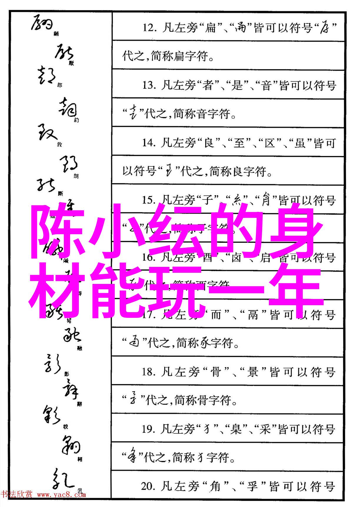 时代少年团综艺盛宴青春舞动梦想相伴