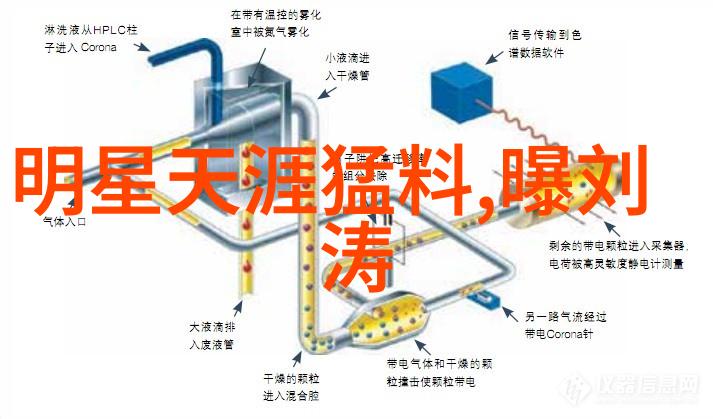 1份鸡吃10个鸡爪记得我家那只小黑鸡的故事