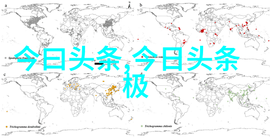 黄晓明安琦离婚风波星途交错后分手宣告