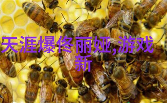 影视盛宴成品App开发的艺术与实践