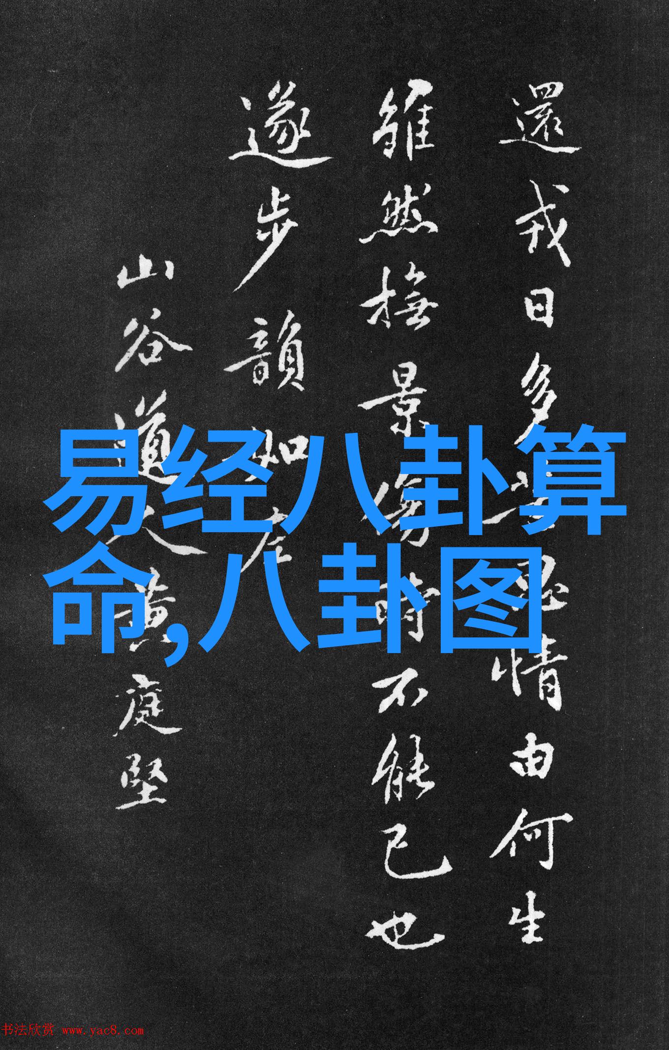 狗的东西比男朋友还大的秘密揭秘宠物爱好者与伴侣之间的趣味比较