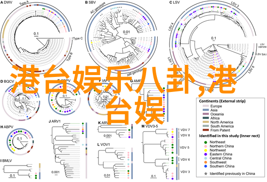 青春无价探索没谈过恋爱的我们综艺世界的真实与魅力