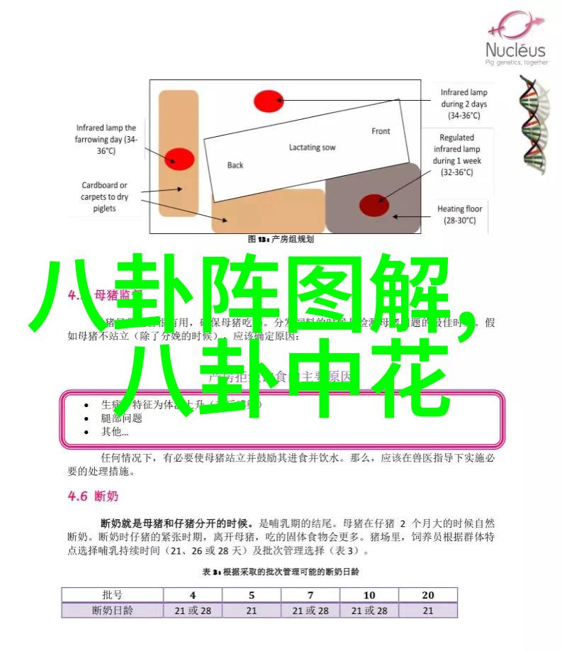 让世界知道我们的才华王者出击绽放光彩