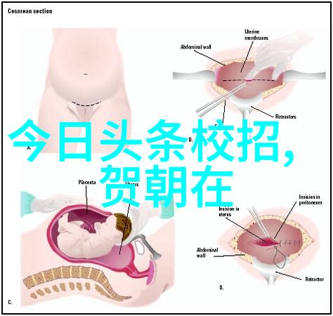 今日头条极速版官网-快速阅读精准资讯探索新一代新闻消费的便捷之道