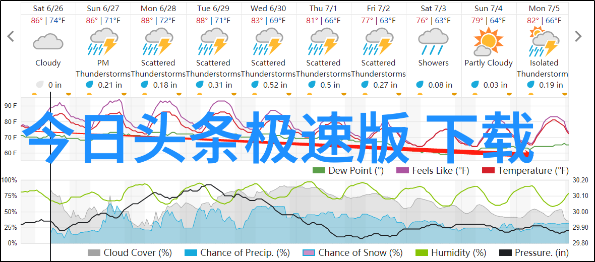 夜幕下的守望者城管大楼的亮灯之谜