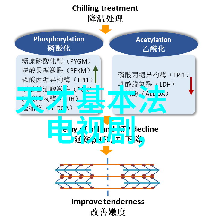 解密古秘八卦口诀的深意与应用