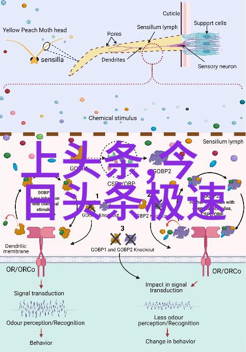 番茄影视红色胶卷里的时光