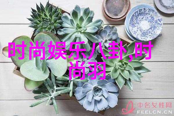 就要你爱上我追逐真爱的电视剧奇缘