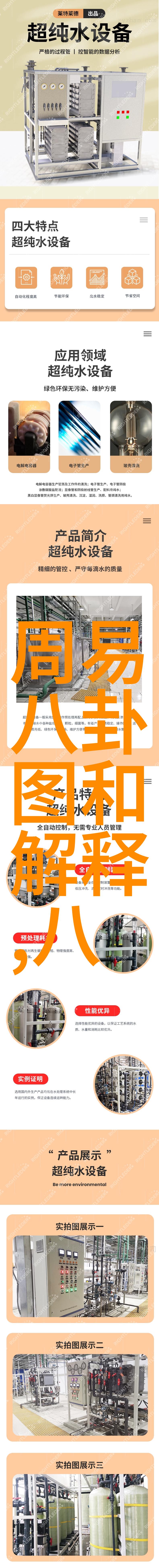 综艺大哥大文化传播与社交互动的新时代研究