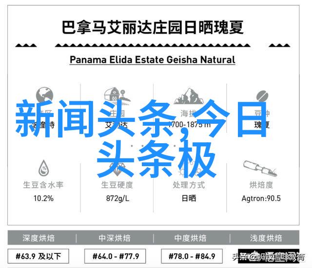 镜头里的诗意拍摄技巧与后期处理让照片更具震撼力