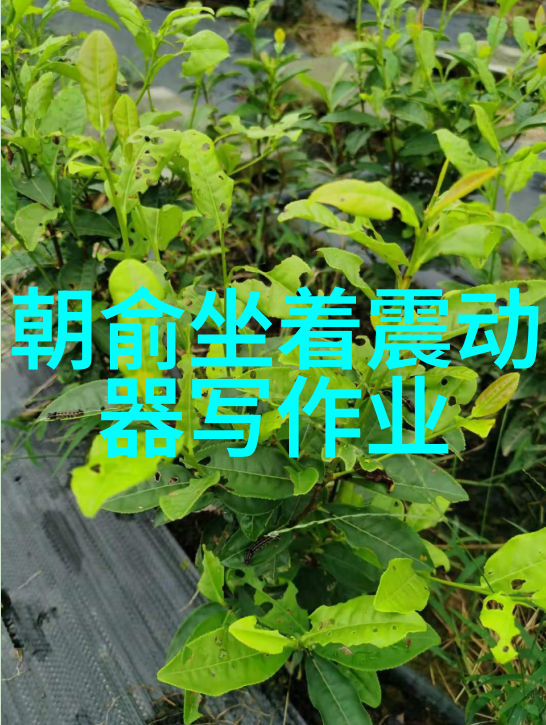 免费无损音乐网赋能搭错车丁当如同一位精进自我上琴床课的生日礼物期许为这部作品注入更多活力和能量