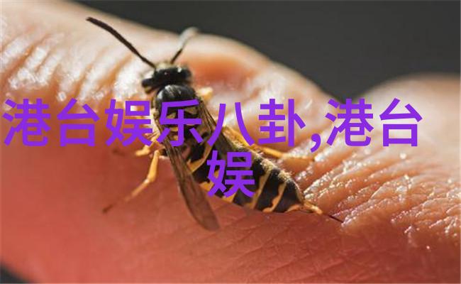 玄秘术数揭秘奇门遁甲入门