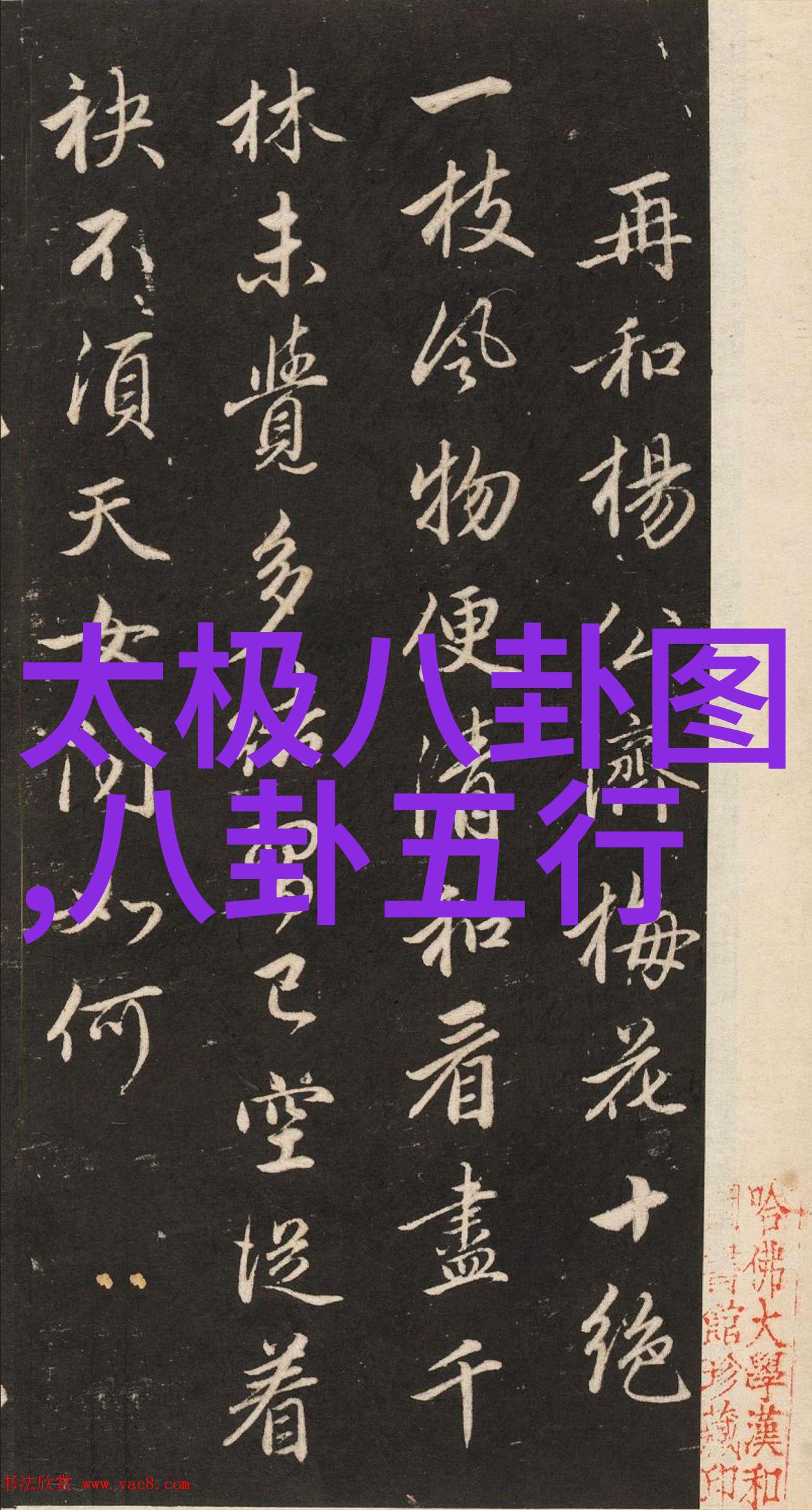 温暖人心的善良小姨子电影中的爱与责任