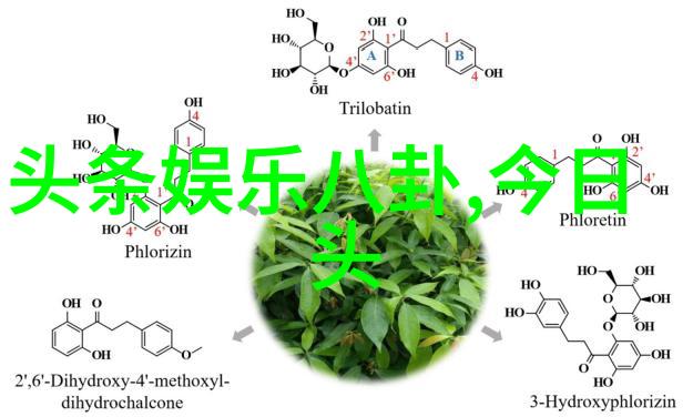 摄影写真我是如何用一张照片捕捉生活瞬间的