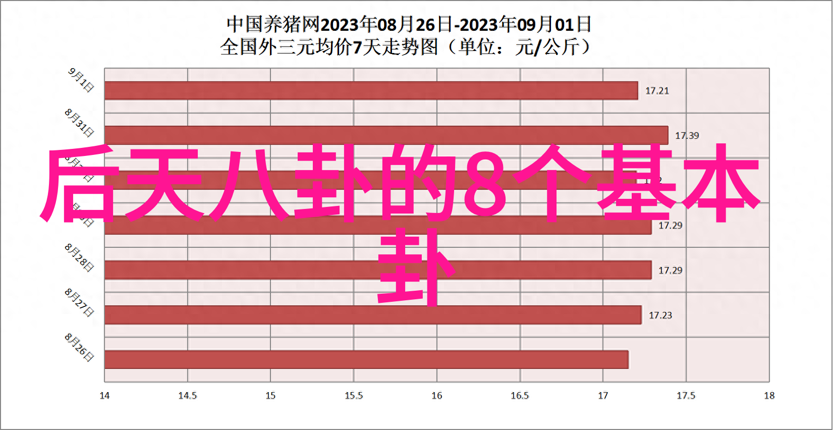 写真美女背后的故事摄影师与模特的默契合作