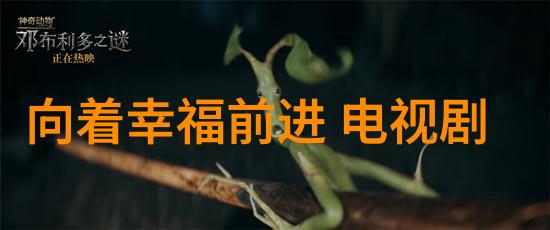 人物塑造与发展电视剧明月照我心的主角人物分析