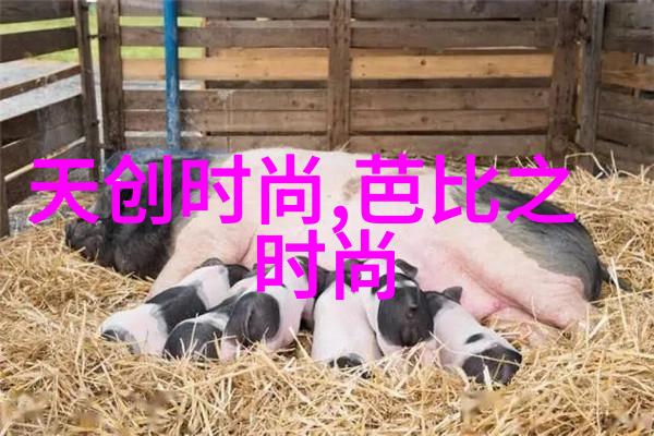 课代表让我吃它的小兔兔-小兔子的秘密课代表的无奈与我的冒险