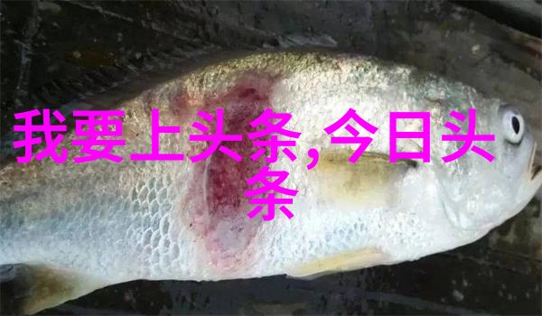 七七影视大全正版免费呈上爱情片再次登顶圈内热门献礼夺冠