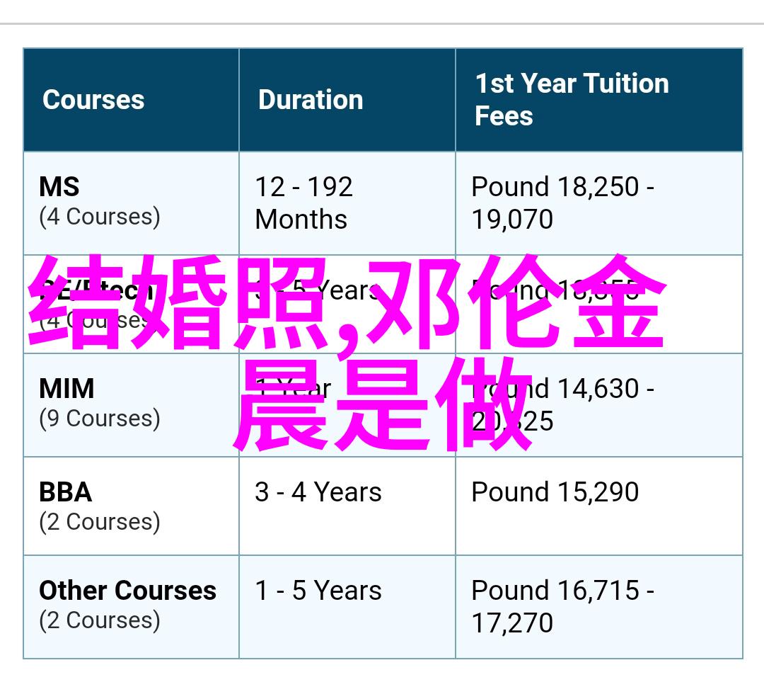 绽放幸福探索我们的美好生活的无限魅力