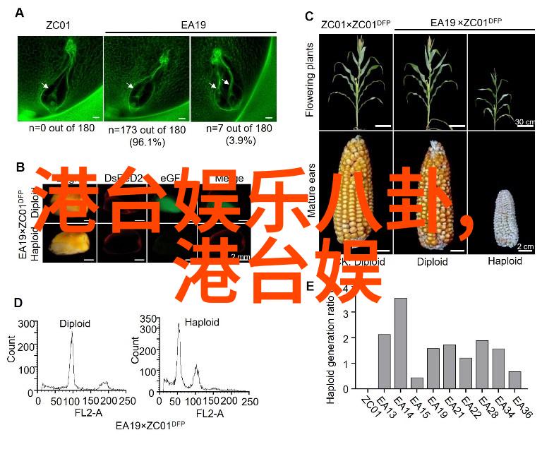 陈坤叶修合照