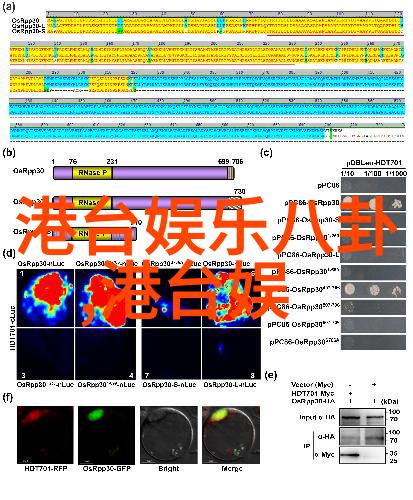 甜心校花朱琦郁私照清丽可人在物品中的写真展现