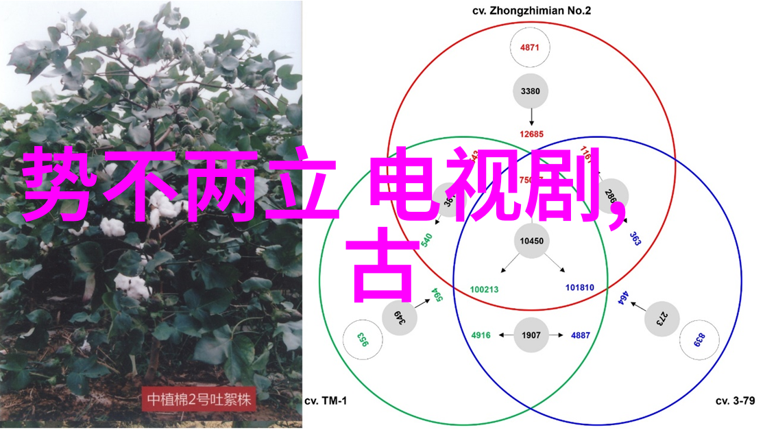 墨点倾城中国传统书法艺术的魅力