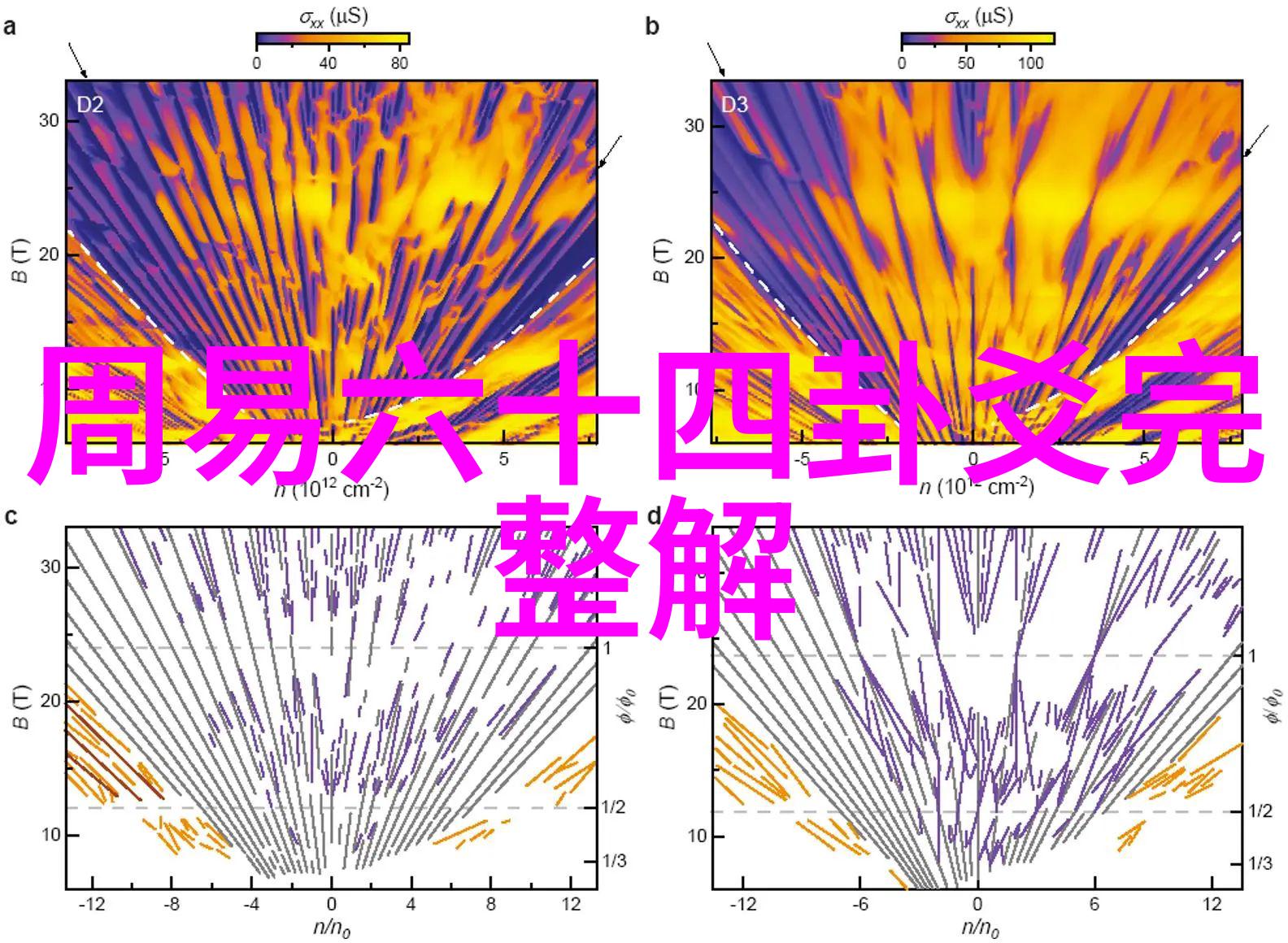 日本成人综艺我在日本的荒唐冒险揭秘那些不为人知的成人节目