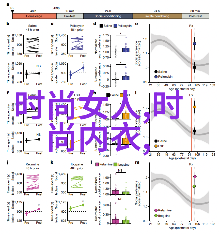 台湾最新动态高雄港新兴产业带崭露头角