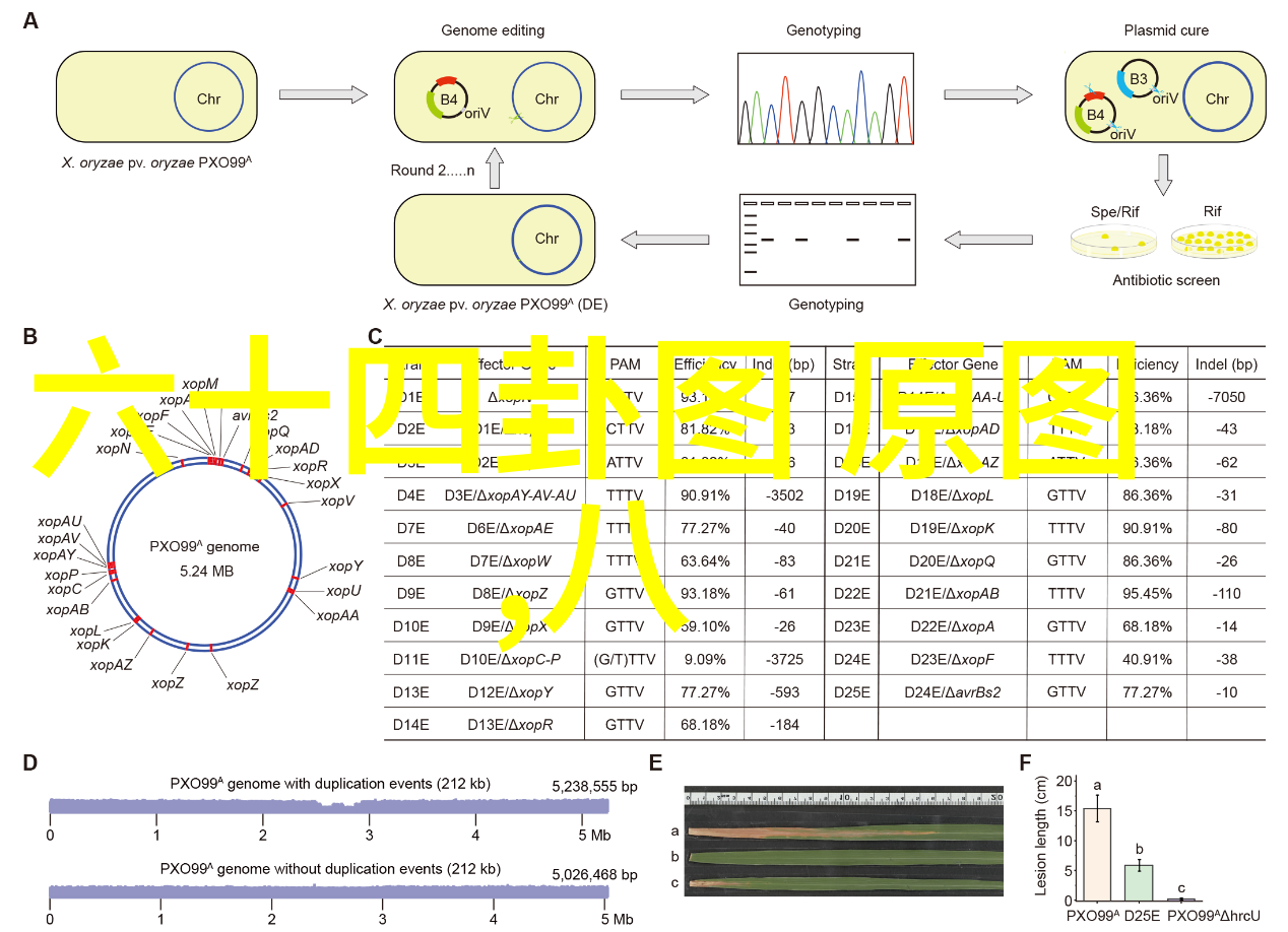 激情的涌动容岩叶沐最内心的抉择