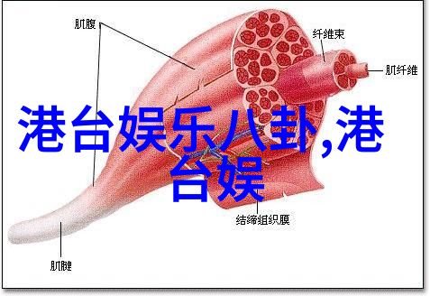 jyj朴有天获4级补充役判定 因行程推迟入伍