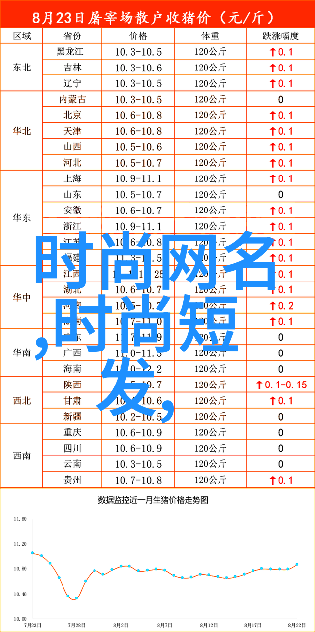 深度分析台湾形势与政策论文探索两岸关系的新动向