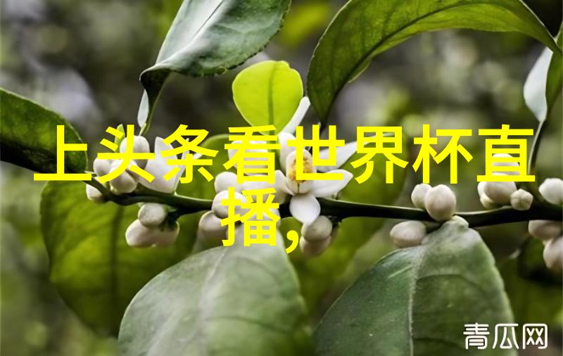 扣扣影视资源探索数字时代的电影与电视剧新领域