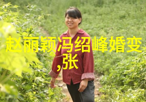 大陆女人台湾男人心中的麻辣香锅