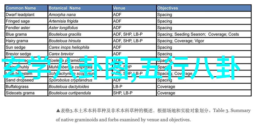 探索影视界限十年一品温如言电影免费观看背后的故事